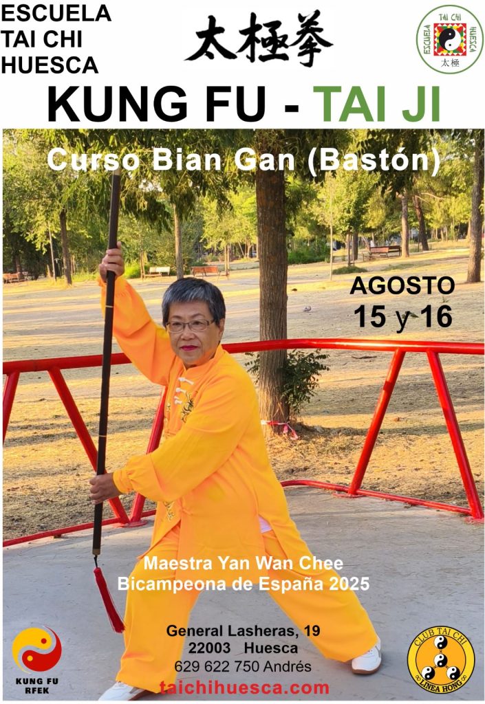 Curso Kung Fu Taiji Quan Huesca